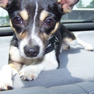 Meet your Posher, Deborah